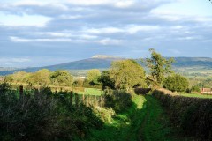 photo-21